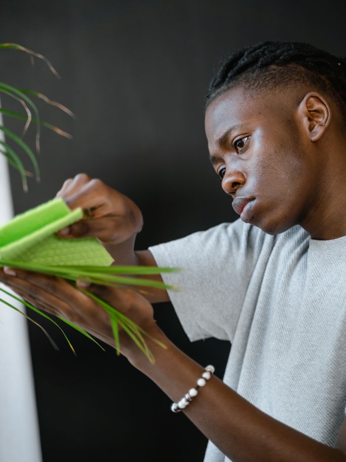 project-01-c Focused young man cleaning houseplants with a cloth indoors, promoting sustainable living.